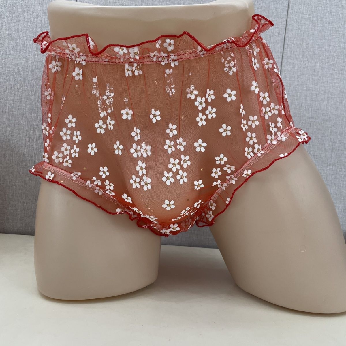 Mesh Men's Briefs Front Widene - Pouch Boxer Pouch ulasan dan harga