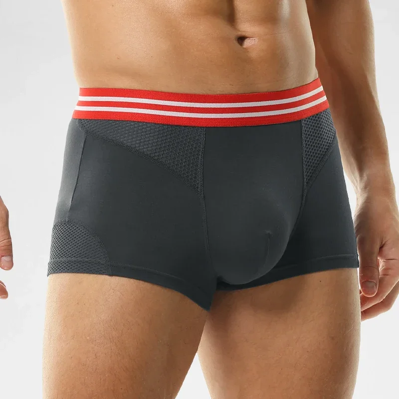 Underwear Men's boxers Modal m - Mesh Sport Boxer ulasan dan harga